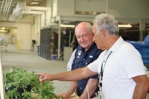 CucCAP researcher shows watermelon plants to Dr. Perdu