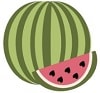 watermelon graphic