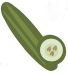 cucumber illustration