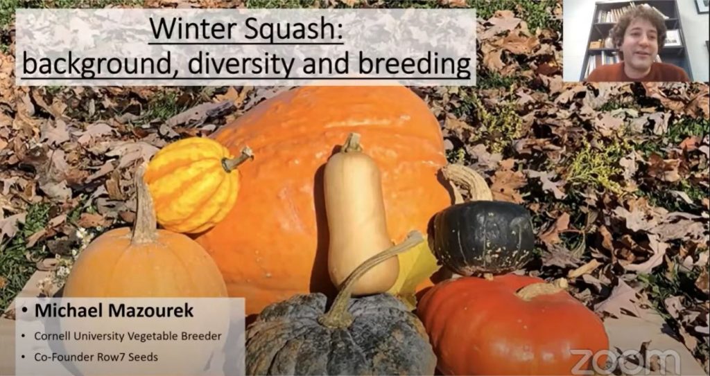 Winter Squash: Background, Diversity And Breeding – CucCAP