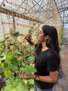 Prerna in the greenhouse