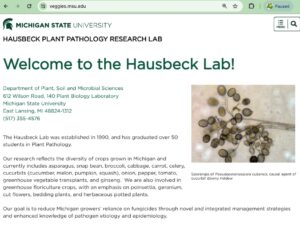 hausbeck lab website
